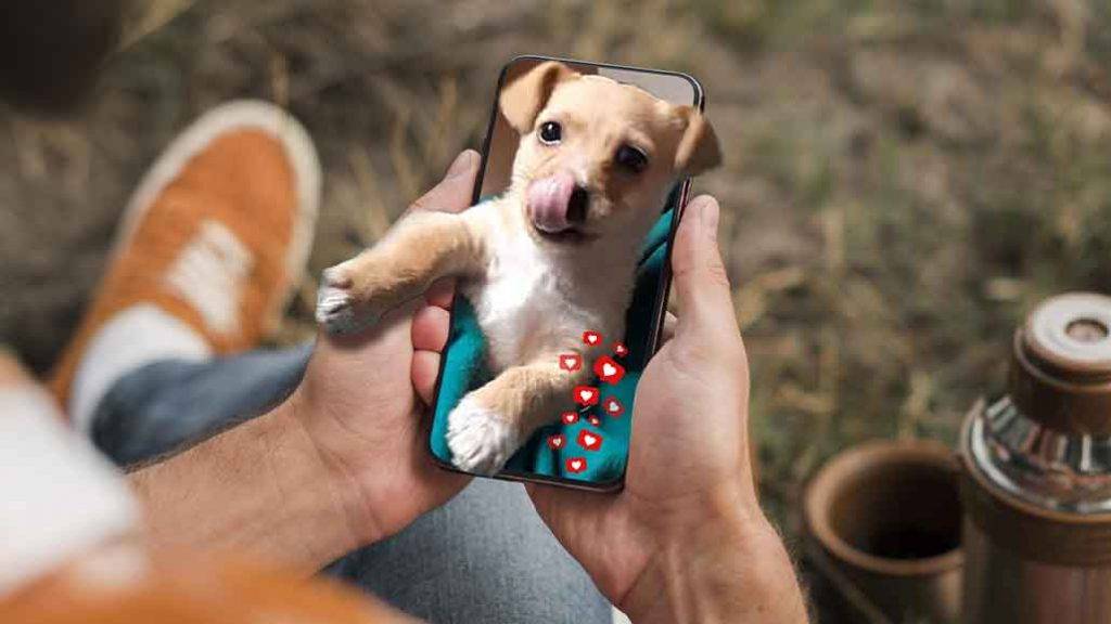 de un celular sale un perro